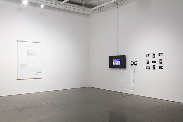 A print, monitor, and photographs on gallery walls