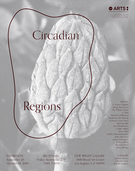 2019 Southern California M.F.A. Theme Exhibition: Circadian Regions 