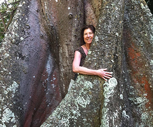 A person standing in a tree trunk.